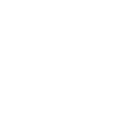 Curtain Wall