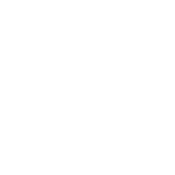 Staircase/Railing